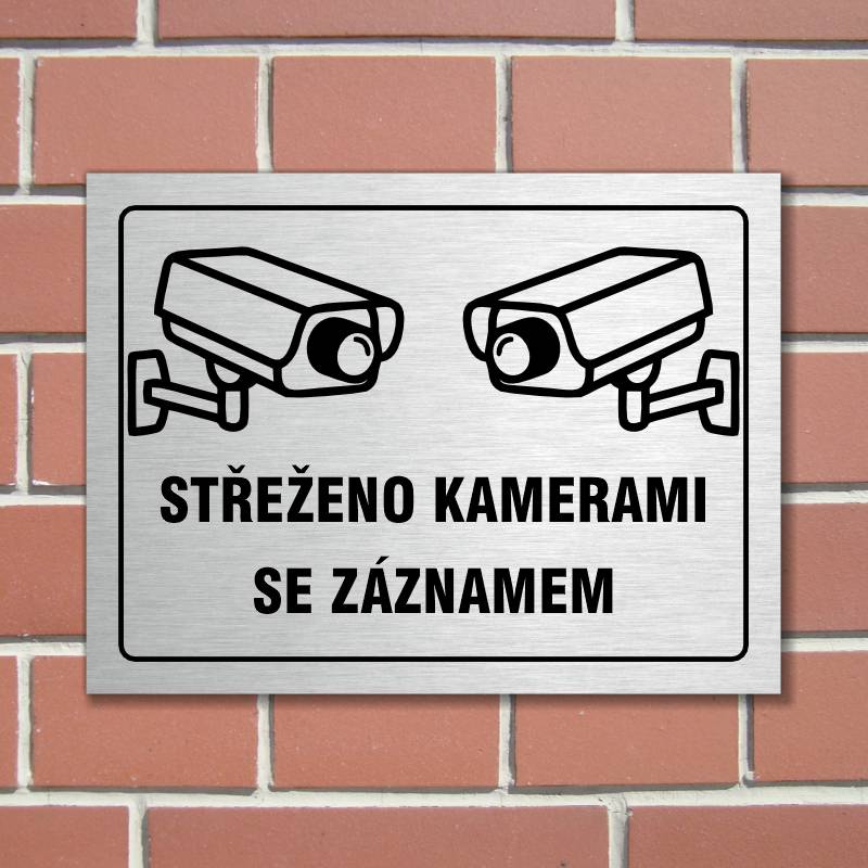 Cedulka "Střeženo kamerami" stříbrná, Velikost A5, var 6